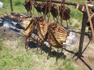 Costela, a melhor carne do mundo e também do universo.