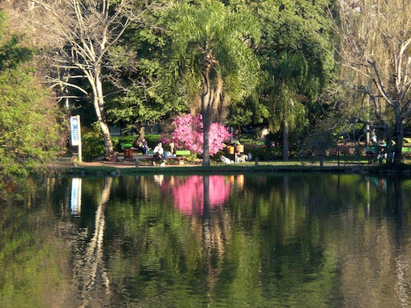Parque Moinhos de Vento (Parcão), Inverno de 2008. Saudades Parque Moinhos de Vento (Parcão), Inverno de 2008. Saudades