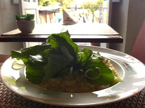 Risotto de camarões com nicho de rúcula e lâminas de alho poró.
