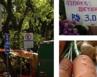Feira Ecológica da Redenção e receita de Cozido de Legumes