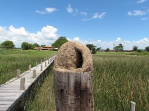 Chegando pelo Rio Guaíba, no trapiche