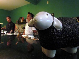 Black Sheep