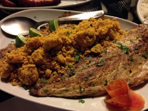 Anchova Vó Guida