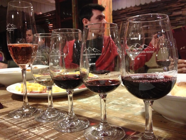 monte-agudo-vinhos