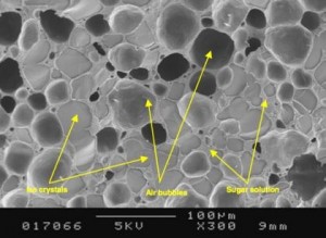sorvete microscópio 